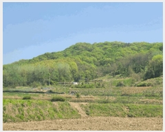  2025Ÿ��502251 ����Ư����ġ�� ������ ���帮 237       ���(ķ����)���