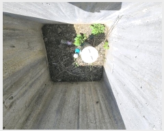  2025Ÿ��502251 ����Ư����ġ�� ������ ���帮 237       ���(ķ����)���