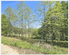  2025Ÿ��502328 ����Ư����ġ�� �屺�� ���и� 355-1       ����(��1)���