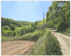  2025Ÿ��502328 ����Ư����ġ�� �屺�� ���и� 355-1       ����(��1)���