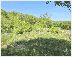  2025Ÿ��502328 ����Ư����ġ�� �屺�� ���и� 355-1       ����(��1)���