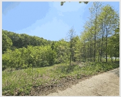  2025Ÿ��502328 ����Ư����ġ�� �屺�� ���и� 355-1       ����(��1)���