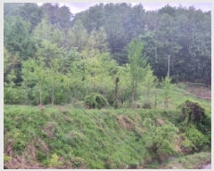  2025Ÿ��502328 ����Ư����ġ�� �屺�� ���и� 355-1       ����(��1)���