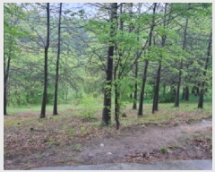  2025Ÿ��502328 ����Ư����ġ�� �屺�� ���и� 355-1       ����(��1)���