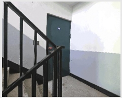  2025Ÿ502424   뼺 35 뼺 2 1103ȣ    ټ,