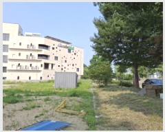  2025Ÿ��502482  ��������