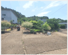  2025Ÿ��502529  �������