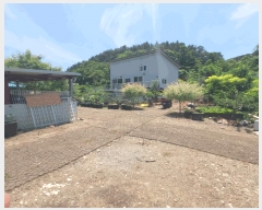  2025Ÿ��502529  �������