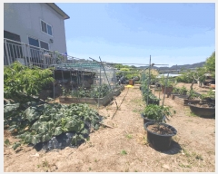  2025Ÿ��502529  �������