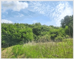  2025Ÿ��502555 ����Ư����ġ�� �屺�� ��ϸ� ��107-16       ����(�Ӿ�)���