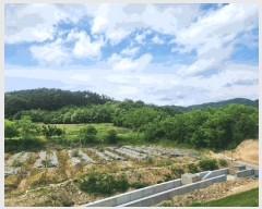  2025Ÿ��502555 ����Ư����ġ�� �屺�� ��ϸ� ��107-16       ����(�Ӿ�)���