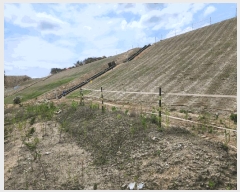  2025Ÿ��502555 ����Ư����ġ�� �屺�� ��ϸ� ��107-16       ����(�Ӿ�)���