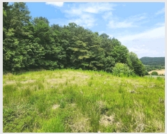  2025Ÿ��502555 ����Ư����ġ�� �屺�� ��ϸ� ��107-16       ����(�Ӿ�)���