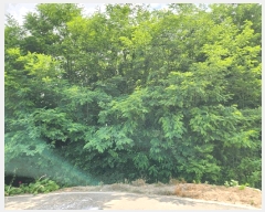  2025Ÿ��502555 ����Ư����ġ�� �屺�� ��ϸ� ��107-16       ����(�Ӿ�)���