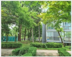  2025Ÿ502705   ε 464-1 Ʈ 307 171705ȣ    Ʈ