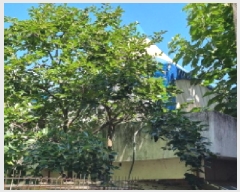  2025Ÿ��503062  ���ð��