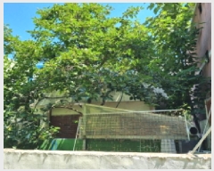  2025Ÿ��503062  ���ð��