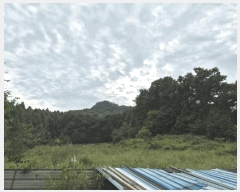  2025Ÿ��503312 ����Ư����ġ�� ������ ������ 565-2       ����(��1)���