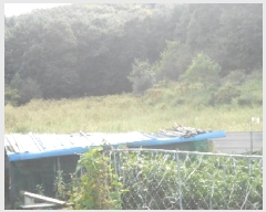  2025Ÿ��503312 ����Ư����ġ�� ������ ������ 565-2       ����(��1)���