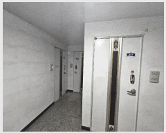  2025Ÿ��503335  �ٰ������ð��