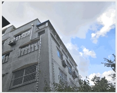  2025Ÿ��503335  �ٰ������ð��