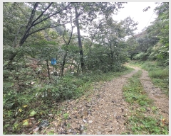  2025Ÿ��503409 �泲 �ݻ걺 ����� �ﰡ�� 1      ����(��)���