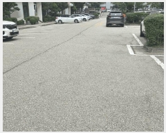  2025Ÿ��503497  ����Ʈ���