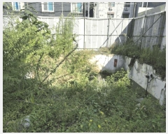  2025Ÿ��503546  �������