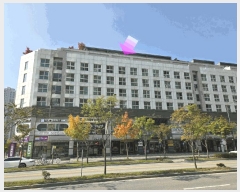  2025Ÿ��503633 ����Ư����ġ�� ���㵿 666 ��������̺���Ƽ2 1�� 8��817ȣ     ��������Ȱ���ð��