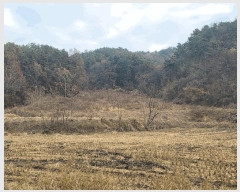  2025Ÿ��503754 ����Ư����ġ�� ������ ������ 89       ����(��)���