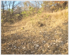  2025Ÿ��503754 ����Ư����ġ�� ������ ������ 89       ����(��)���