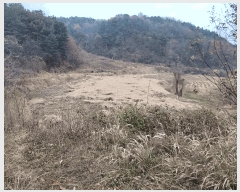  2025Ÿ��503754 ����Ư����ġ�� ������ ������ 89       ����(��)���