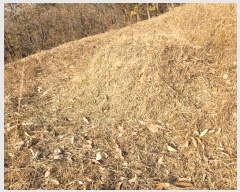  2025Ÿ��503754 ����Ư����ġ�� ������ ������ 89       ����(��)���