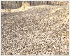  2025Ÿ��503754 ����Ư����ġ�� ������ ������ 89       ����(��)���