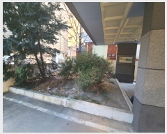  2025Ÿ75   465 12 (嵿,ӽƼ)      ܵ,ð