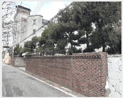  2025Ÿ��1108  ���ð��