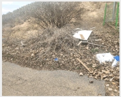  2025Ÿ��1580 ���� ���� ��ҵ� ��7-1       ����(�Ӿ�)���