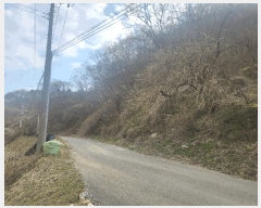  2025Ÿ��1580 ���� ���� ��ҵ� ��7-1       ����(�Ӿ�)���