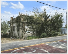  2025Ÿ��2231 ���� ������ ���ϵ� 360-2       ���ð��