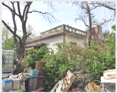  2025Ÿ��2231 ���� ������ ���ϵ� 360-2       ���ð��