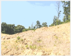  2025Ÿ��3524  �Ӿ߰��