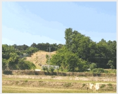  2025Ÿ��3524  �Ӿ߰��