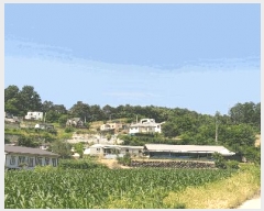  2025Ÿ��3524  �Ӿ߰��