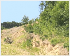  2025Ÿ��3524  �Ӿ߰��