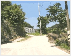  2025Ÿ��3524  �Ӿ߰��