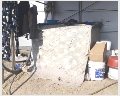  2025Ÿ500025 泲 ݻ걺 ݼ  32-25 (1)     ٸü,󰡰