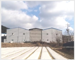  2025Ÿ500025 泲 ݻ걺 ݼ  32-25 (1)     ٸü,󰡰