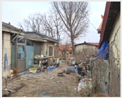  2025Ÿ��500230  ���ð��