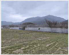  2025Ÿ501349 泲 ݻ걺 ߺθ 縮 609-2      (1)