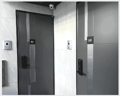  2025Ÿ��501745 ���� ���� ź�浿 1219       �ܵ�����,�����ð��